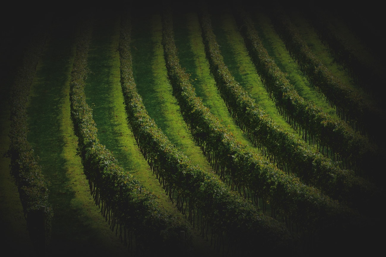 TERROIR