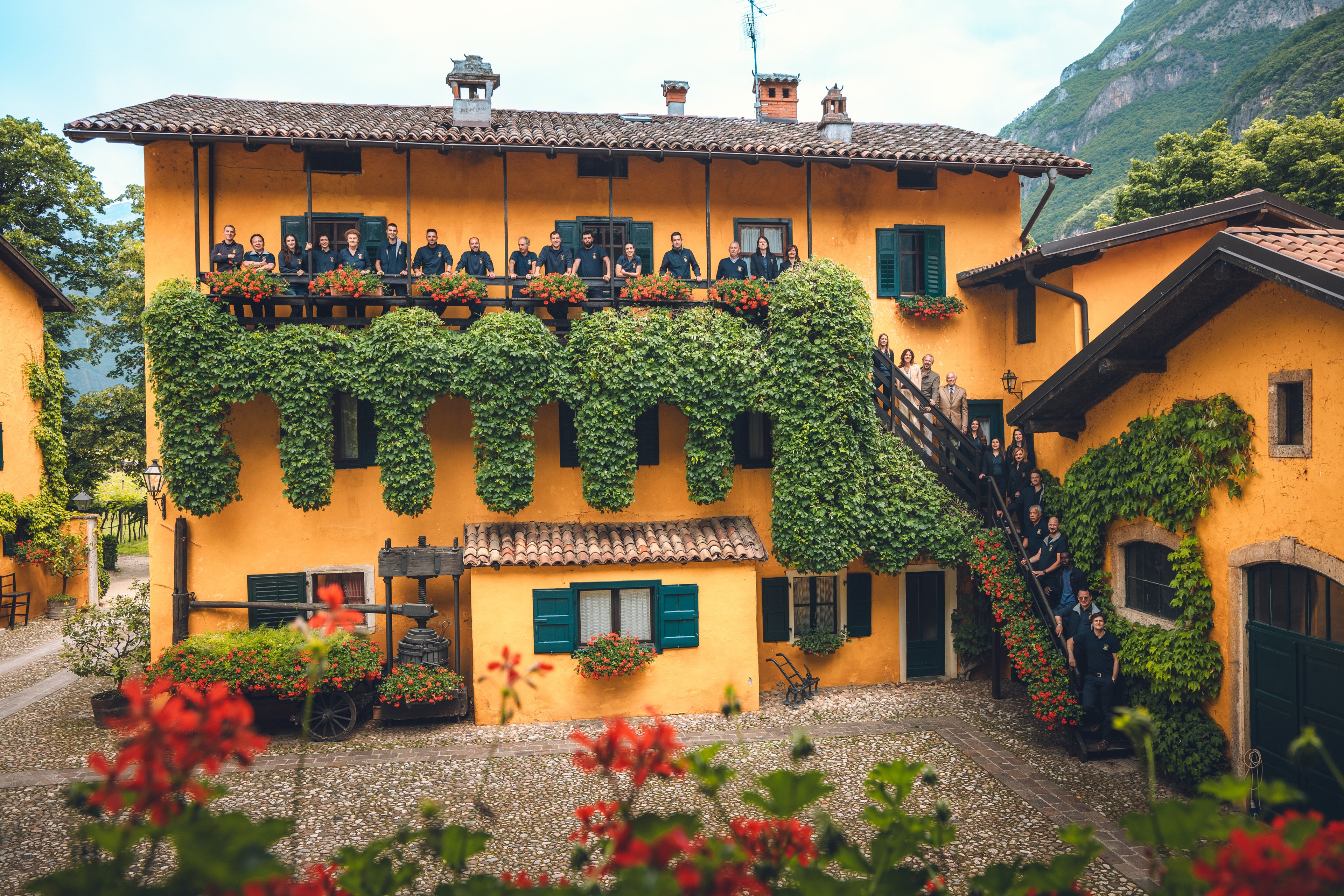 Foto della tenuta San Leonardo