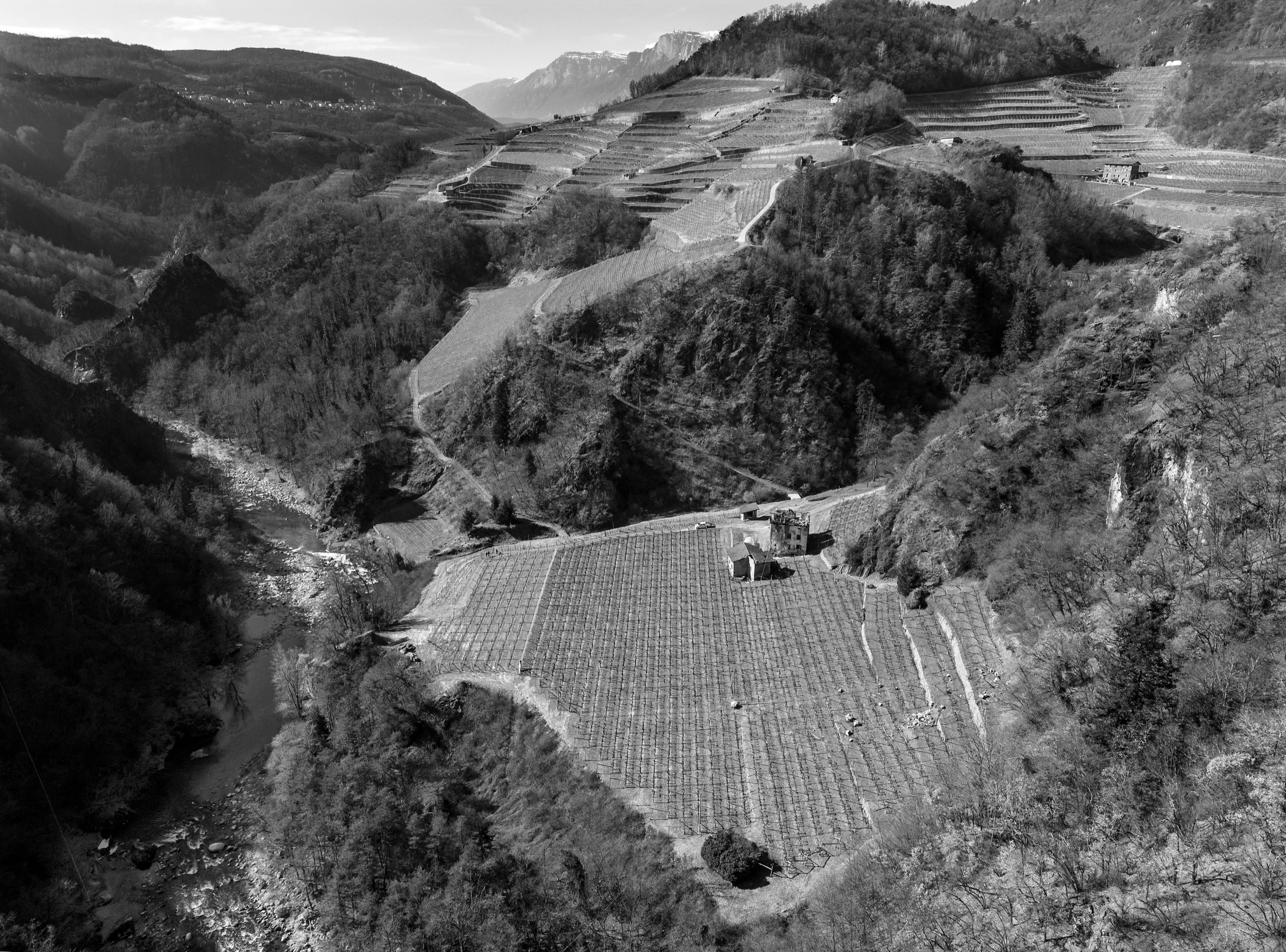 Suoli minerali della tenuta San Leonardo